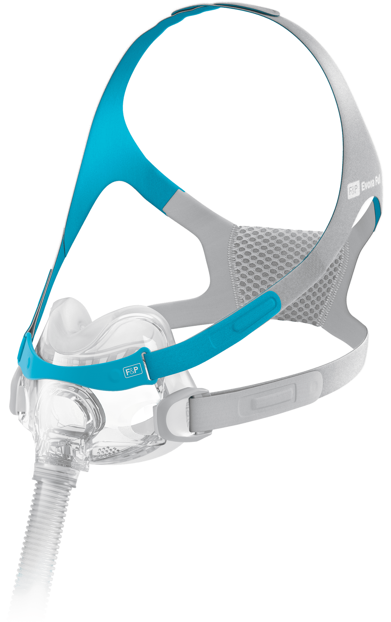 Fisher and Paykel Evora Full Face Mask Fit Pack