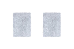 F&P SleepStyle Filter 2 Pack